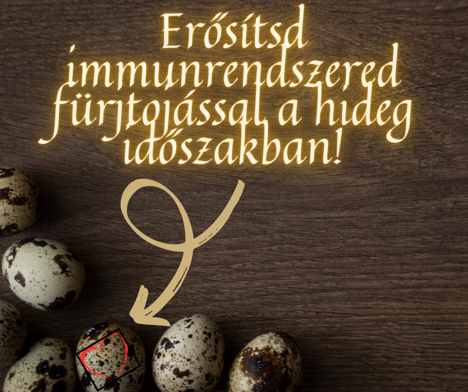 erősítsd immunrendszered fürjtojással a hideg időszakban